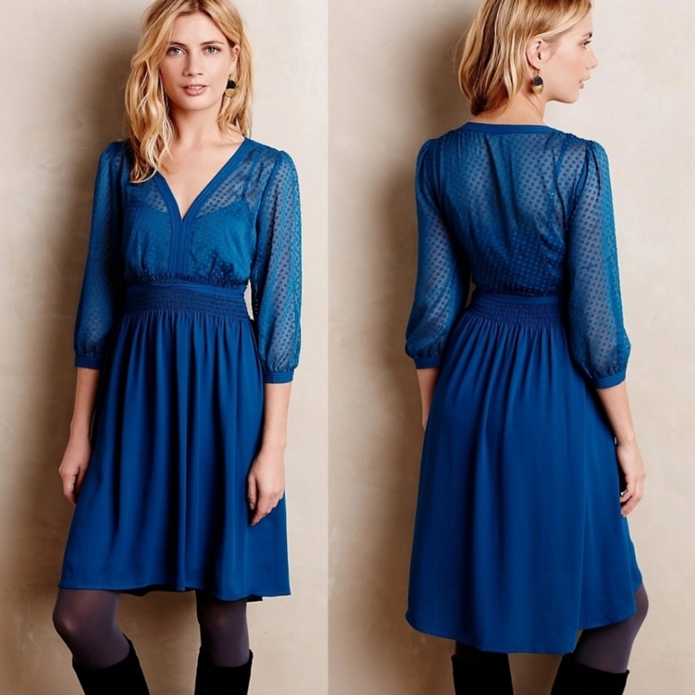 HD in Paris Anthropologie Sheer Dress
